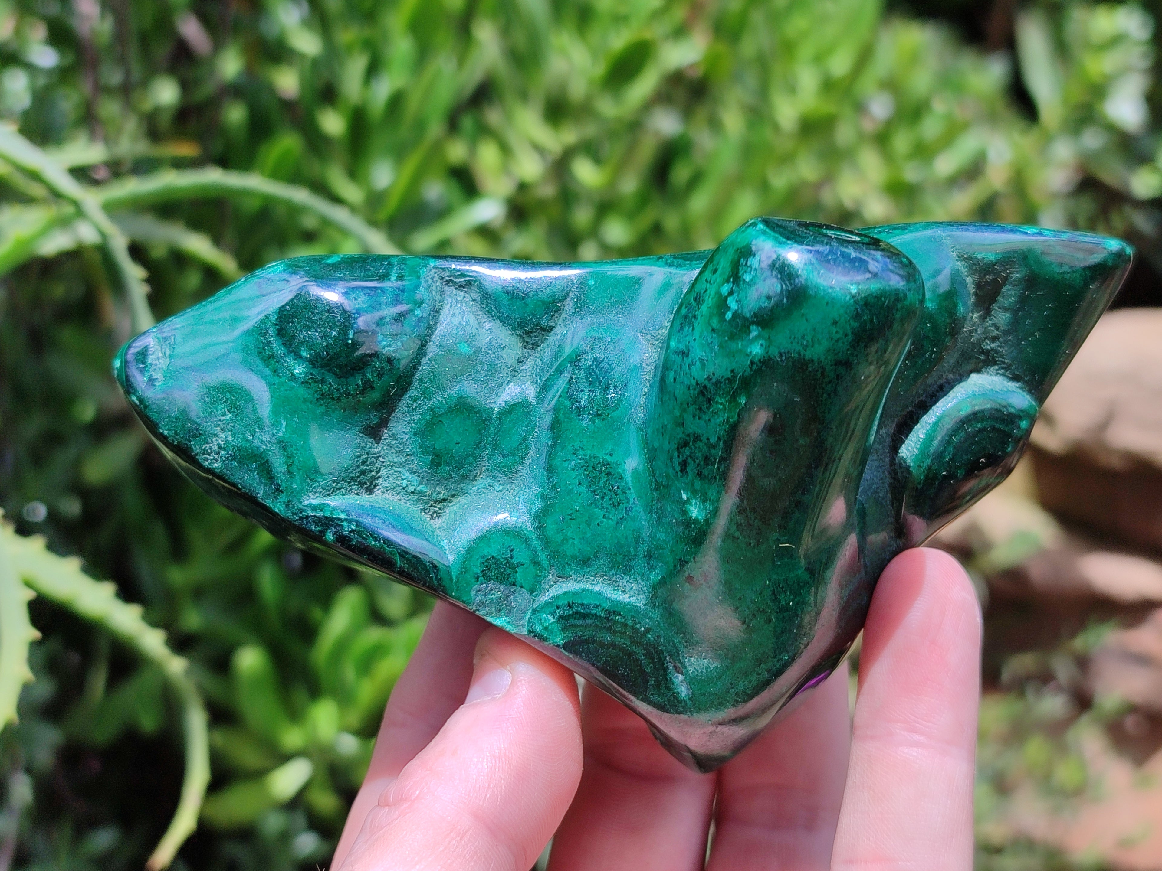 Polished Flower Banded Malachite Free Forms x 2 From Congo - Toprock Gemstones and Minerals 