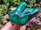 Polished Flower Banded Malachite Free Forms x 2 From Congo - Toprock Gemstones and Minerals 
