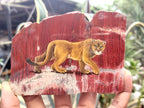 Hand Made Lioness Decoupage Stone Slabs x 3 From Southern Africa - Toprock Gemstones and Minerals 