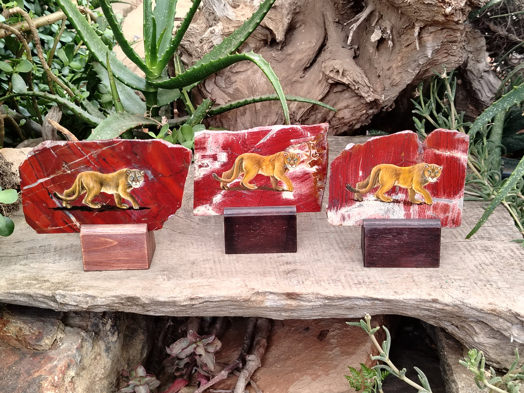 Hand Made Lioness Decoupage Stone Slabs x 3 From Southern Africa - Toprock Gemstones and Minerals 