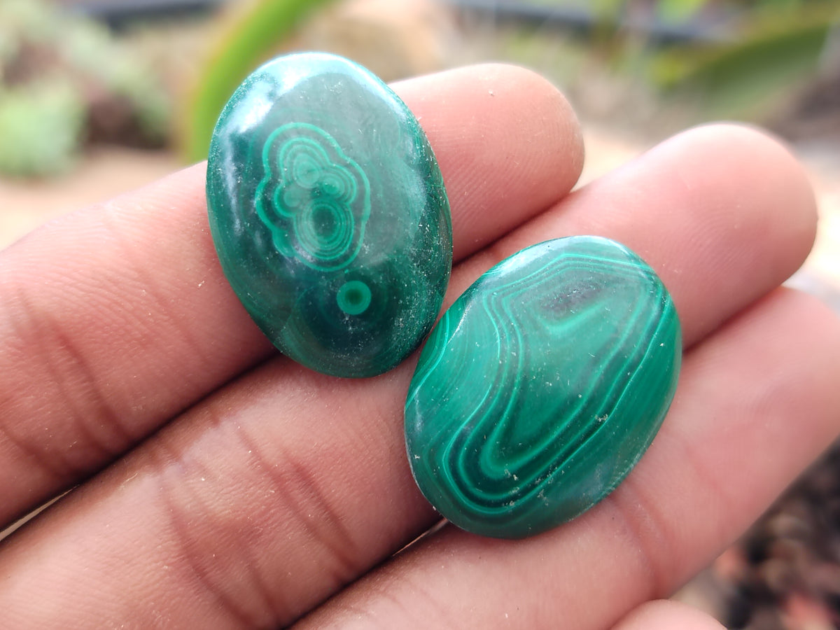 Hand Made Oval Flower Banded Malachite Cabochons - Sold Per Item - From Congo - Toprock Gemstones and Minerals 
