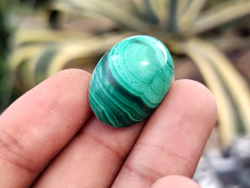 Hand Made Oval Flower Banded Malachite Cabochons - Sold Per Item - From Congo - Toprock Gemstones and Minerals 