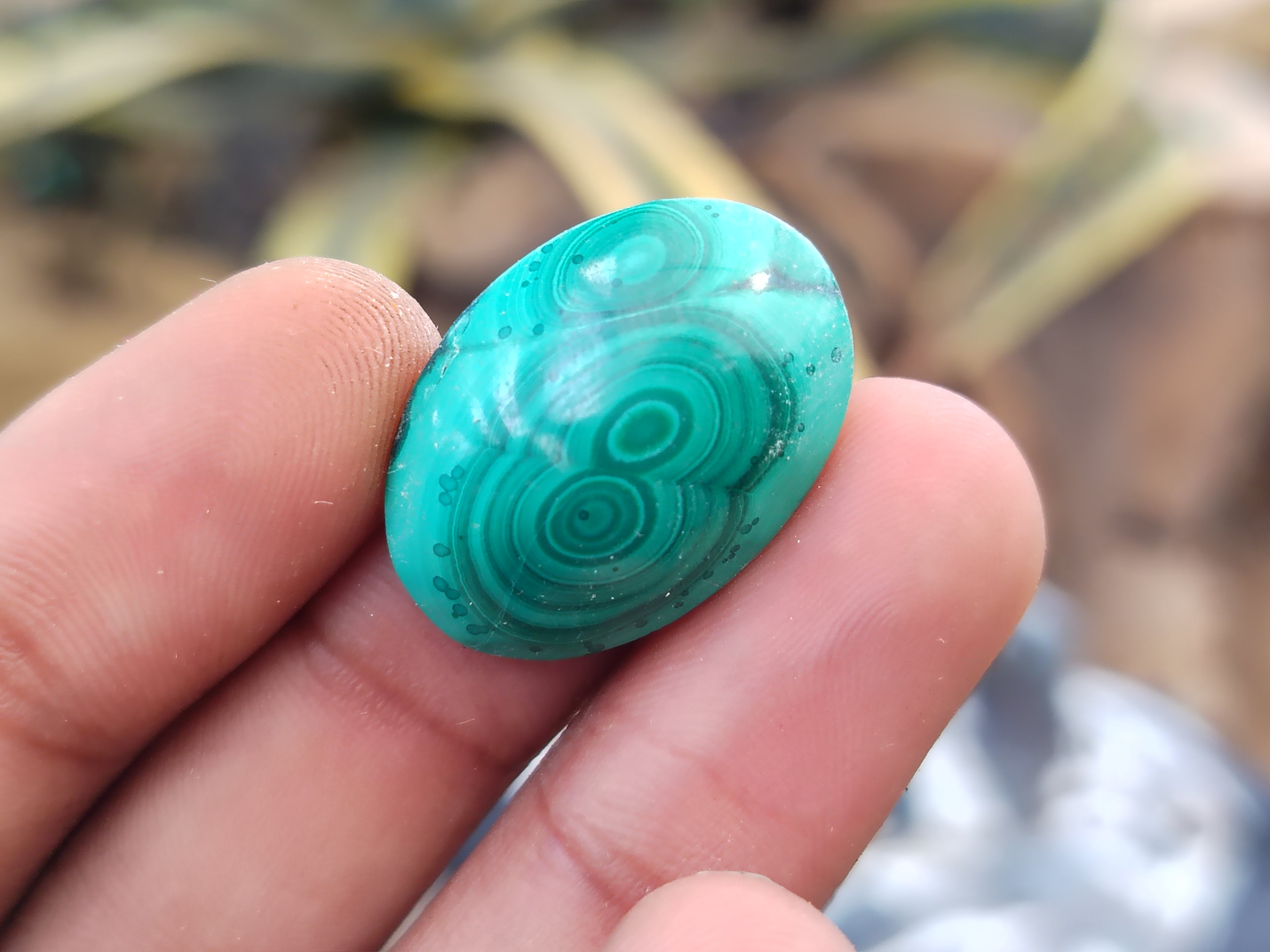 Hand Made Oval Flower Banded Malachite Cabochons - Sold Per Item - From Congo - Toprock Gemstones and Minerals 