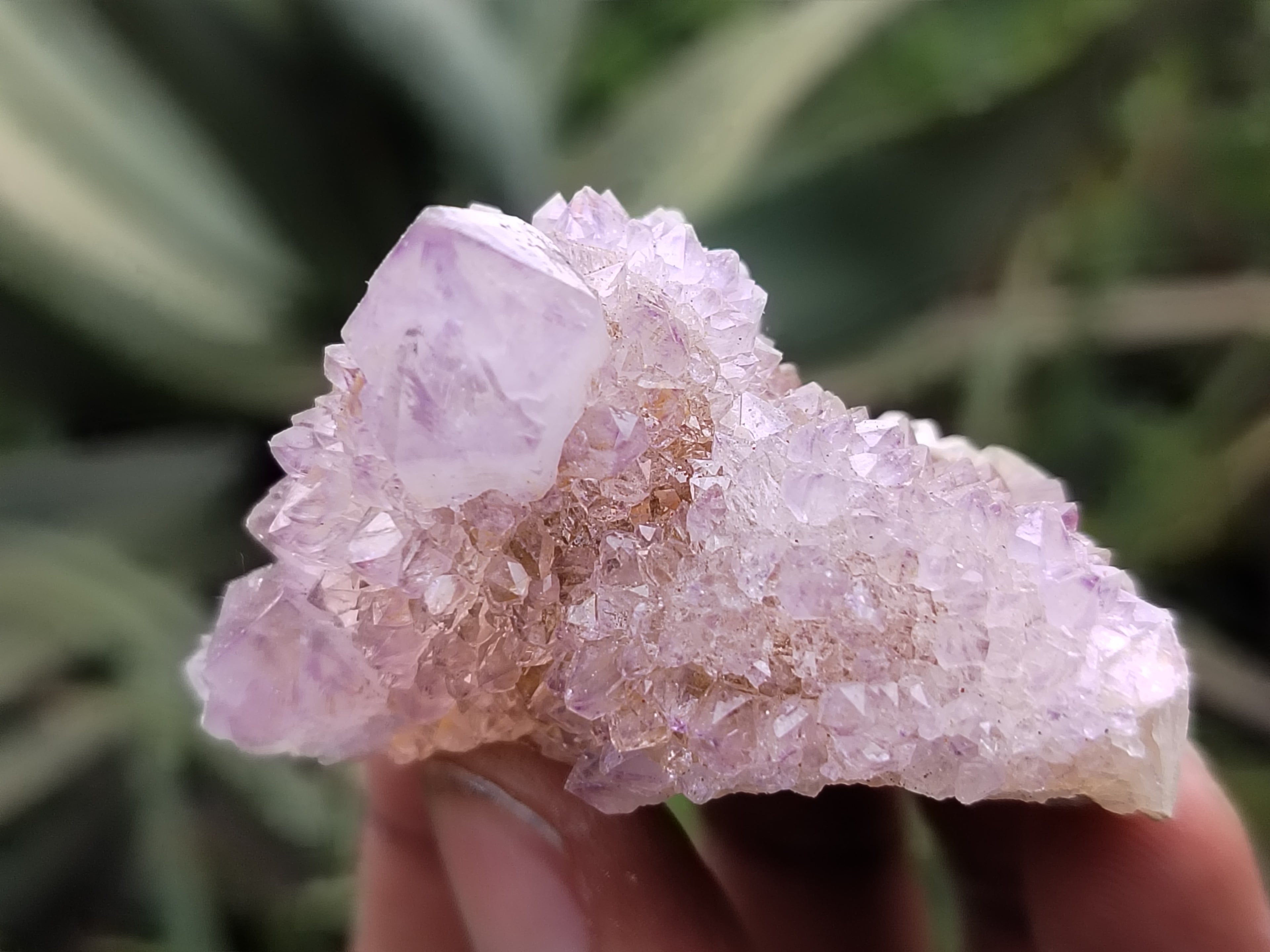 Natural Ametrine Spirit Quartz Clusters x 21 From Boekenhouthoek, South Africa - Toprock Gemstones and Minerals 