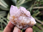 Natural Ametrine Spirit Quartz Clusters x 21 From Boekenhouthoek, South Africa - Toprock Gemstones and Minerals 