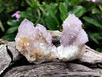 Natural Ametrine Spirit Quartz Clusters x 21 From Boekenhouthoek, South Africa - Toprock Gemstones and Minerals 