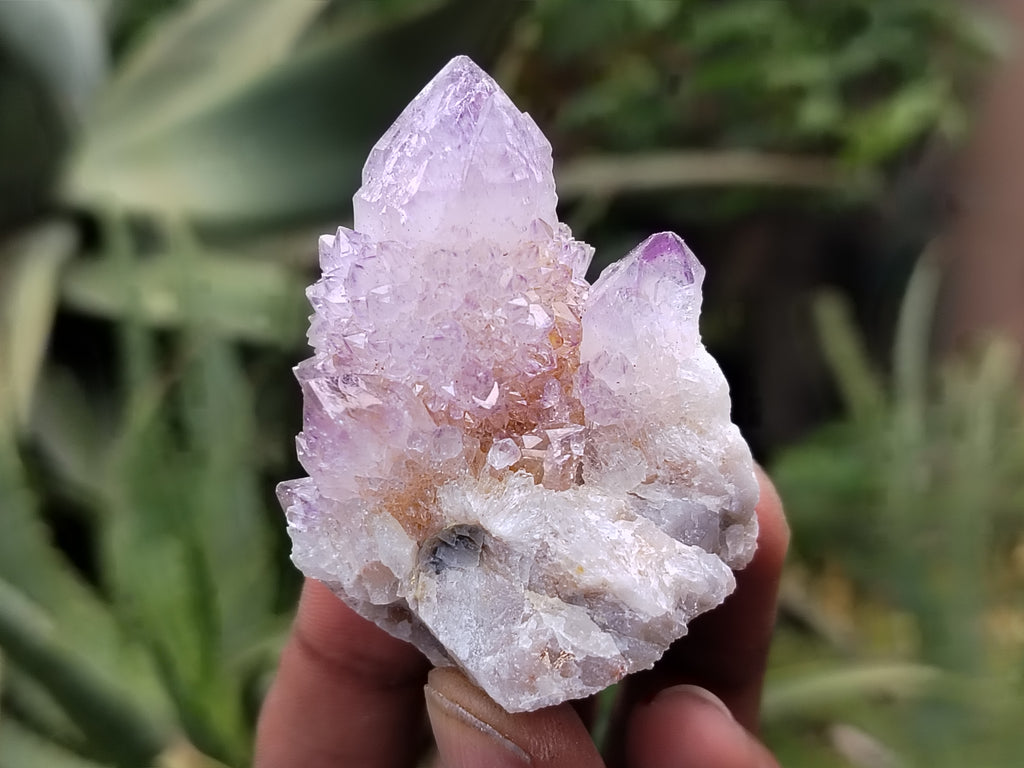 Natural Ametrine Spirit Quartz Clusters x 21 From Boekenhouthoek, South Africa - Toprock Gemstones and Minerals 