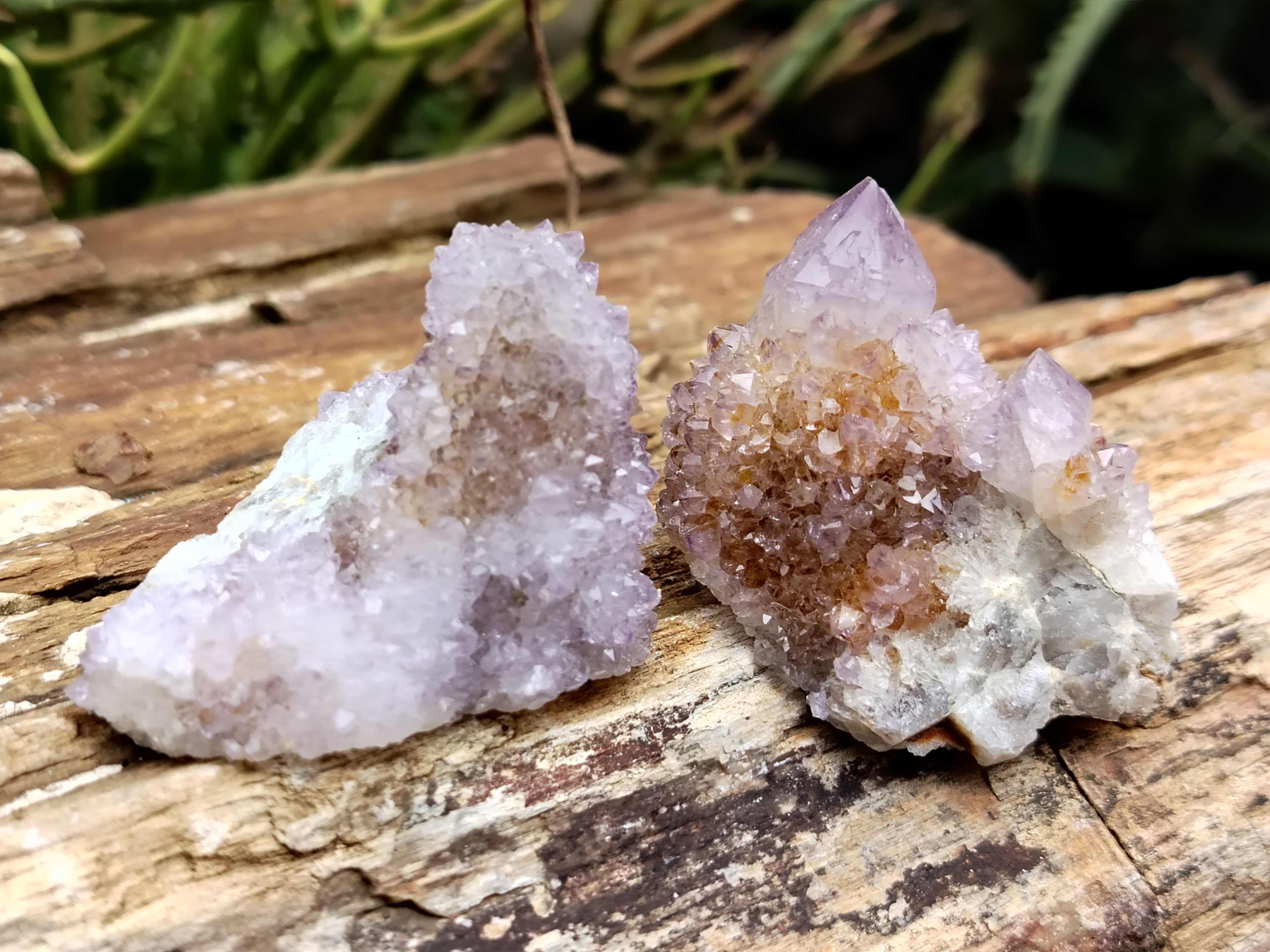 Natural Ametrine Spirit Quartz Clusters x 21 From Boekenhouthoek, South Africa - Toprock Gemstones and Minerals 