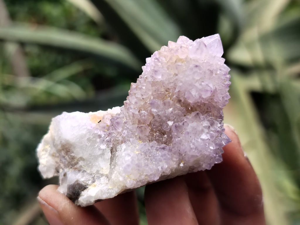 Natural Ametrine Spirit Quartz Clusters x 21 From Boekenhouthoek, South Africa - Toprock Gemstones and Minerals 