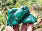 Polished Flower Banded Malachite Free Forms x 6 From Congo - Toprock Gemstones and Minerals 