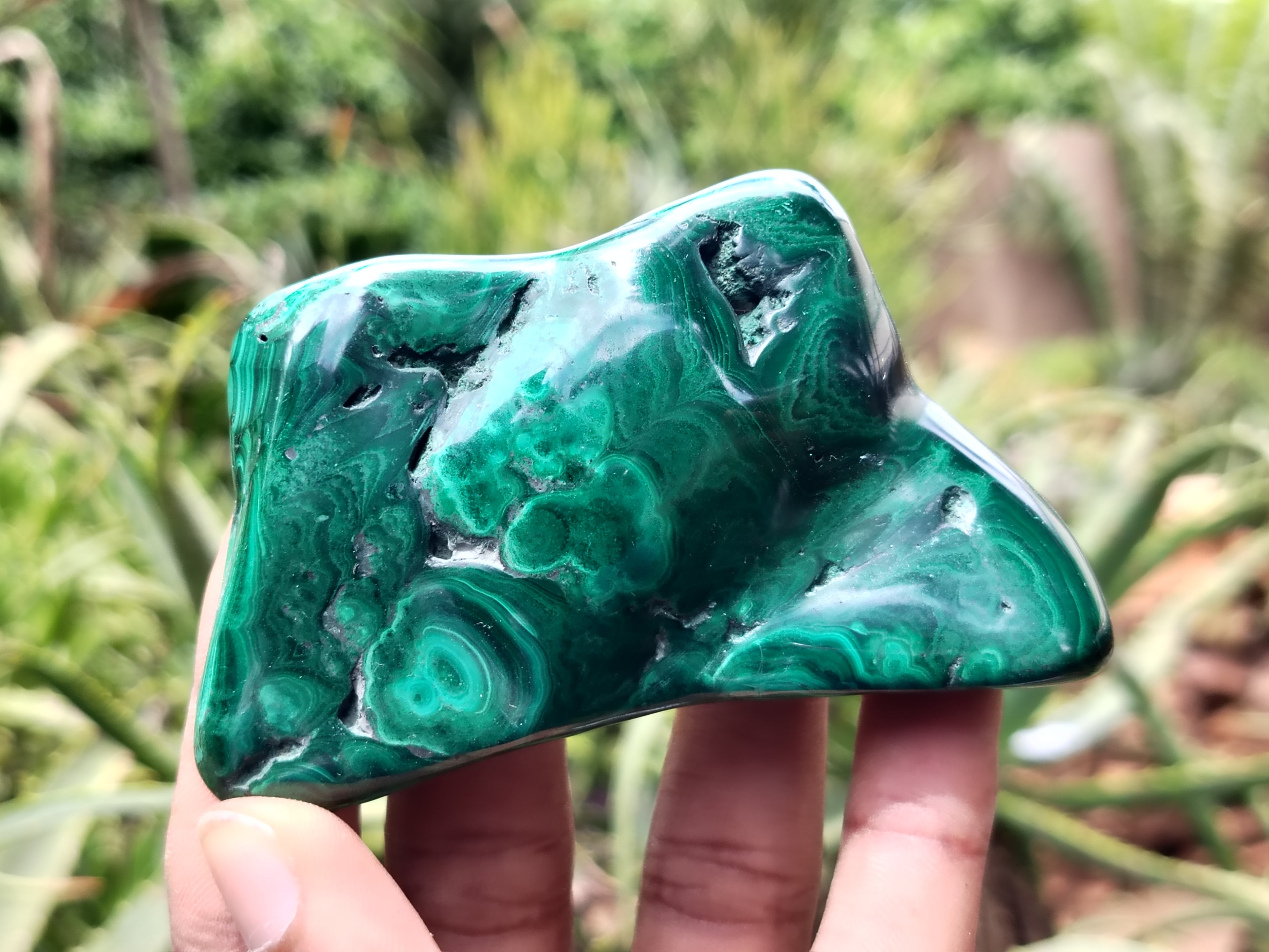 Polished Flower Banded Malachite Free Forms x 6 From Congo - Toprock Gemstones and Minerals 
