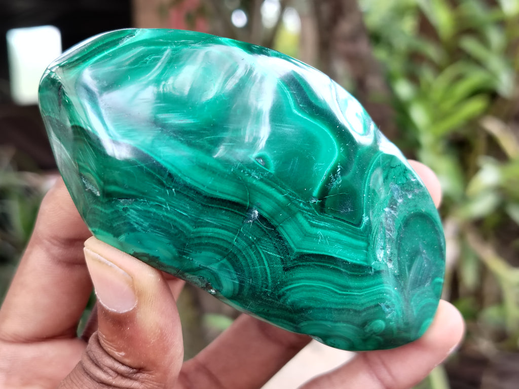 Polished Flower Banded Malachite Free Forms x 6 From Congo - Toprock Gemstones and Minerals 