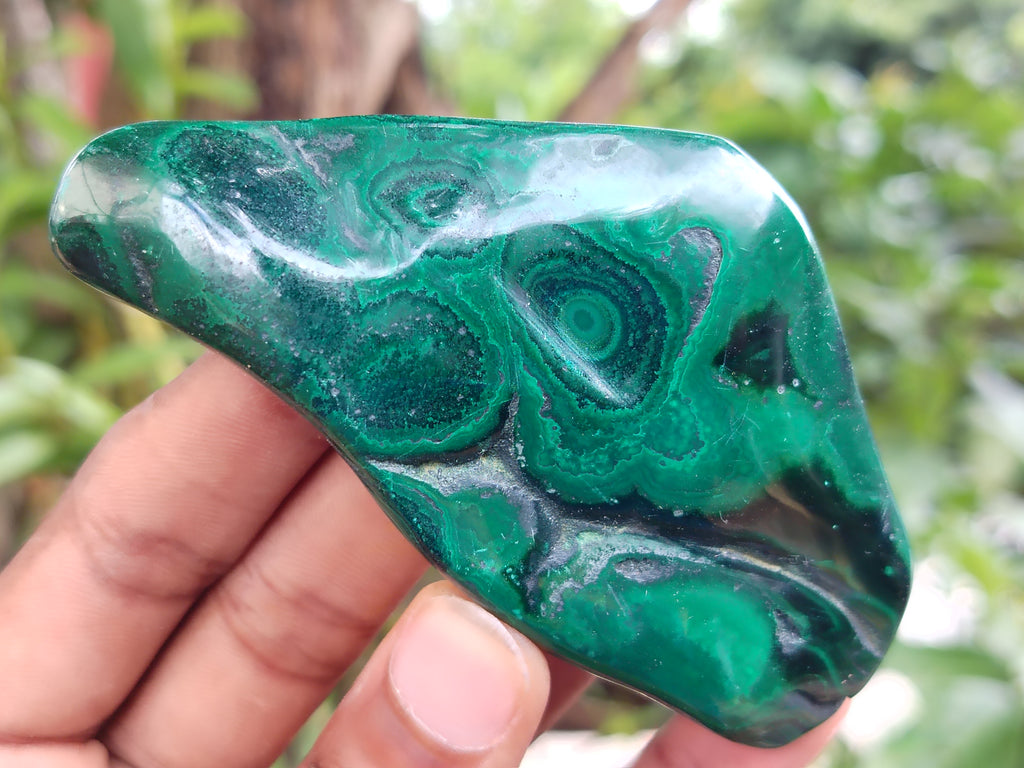 Polished Flower Banded Malachite Free Forms x 6 From Congo - Toprock Gemstones and Minerals 