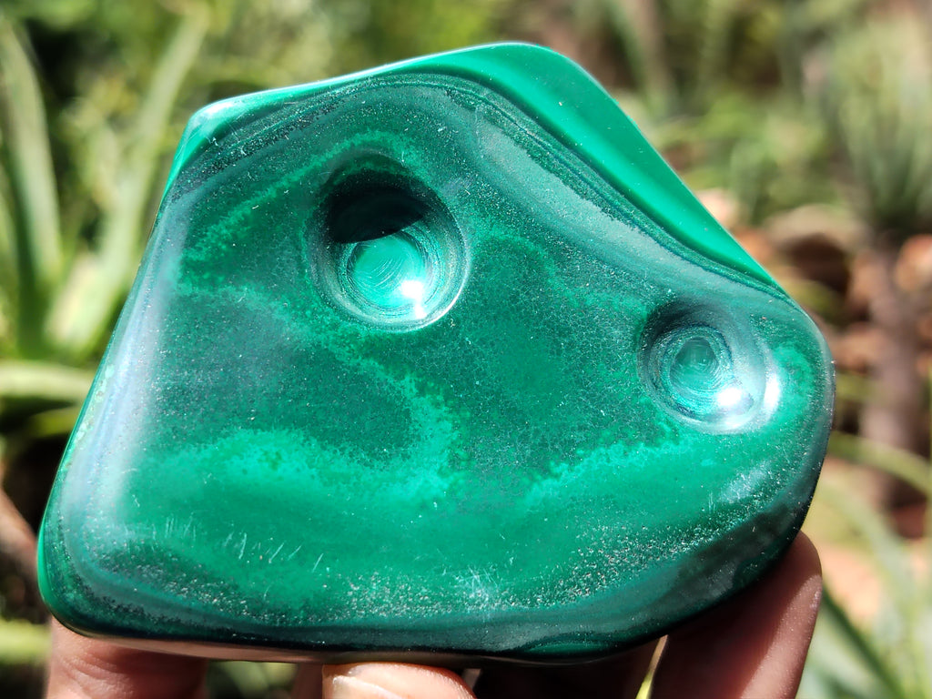 Polished Flower Banded Malachite Free Forms x 6 From Congo - Toprock Gemstones and Minerals 