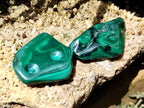Polished Flower Banded Malachite Free Forms x 6 From Congo - Toprock Gemstones and Minerals 