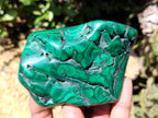 Polished Flower Banded Malachite Free Forms x 6 From Congo - Toprock Gemstones and Minerals 