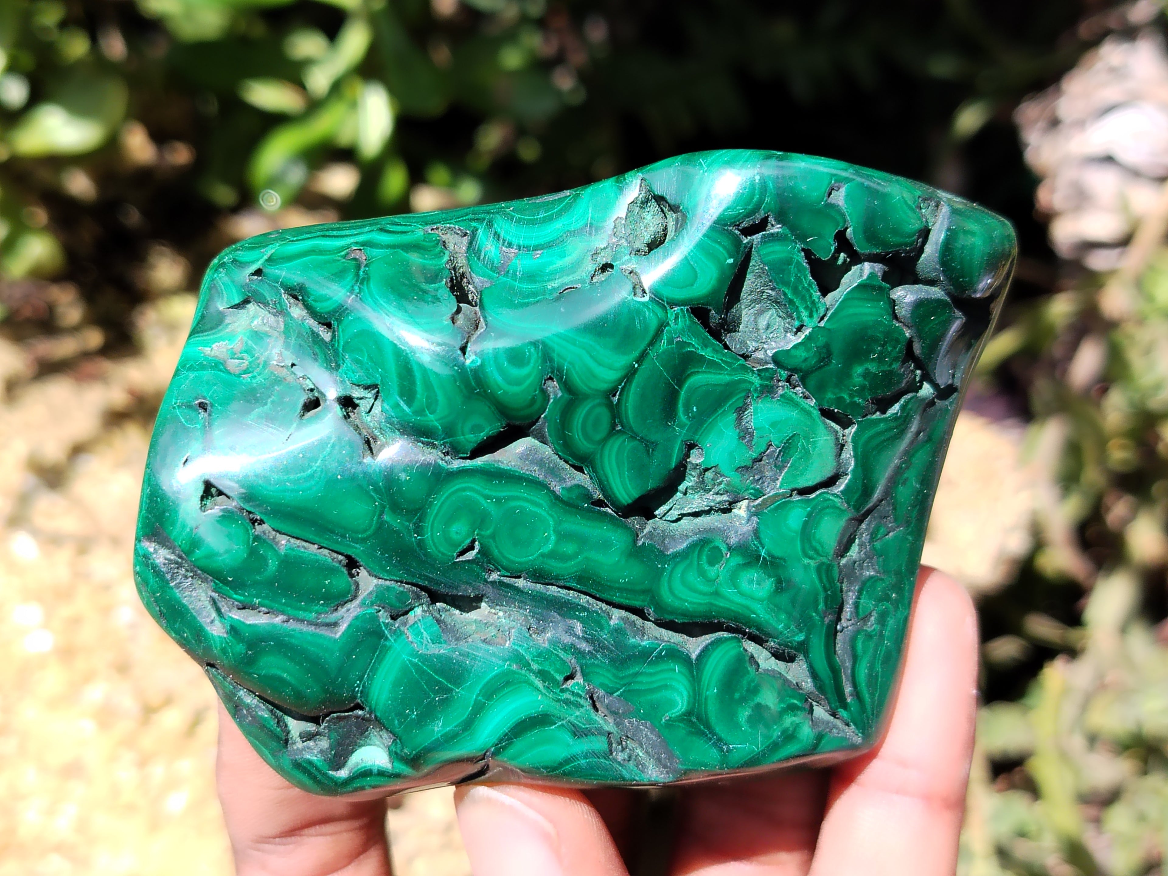 Polished Flower Banded Malachite Free Forms x 6 From Congo - Toprock Gemstones and Minerals 