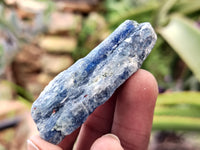 Natural Kyanite Crystals x 2 Kg Lot From Zimbabwe - Toprock Gemstones and Minerals 
