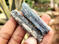 Natural Kyanite Crystals x 2 Kg Lot From Zimbabwe - Toprock Gemstones and Minerals 