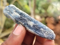 Natural Kyanite Crystals x 2 Kg Lot From Zimbabwe - Toprock Gemstones and Minerals 