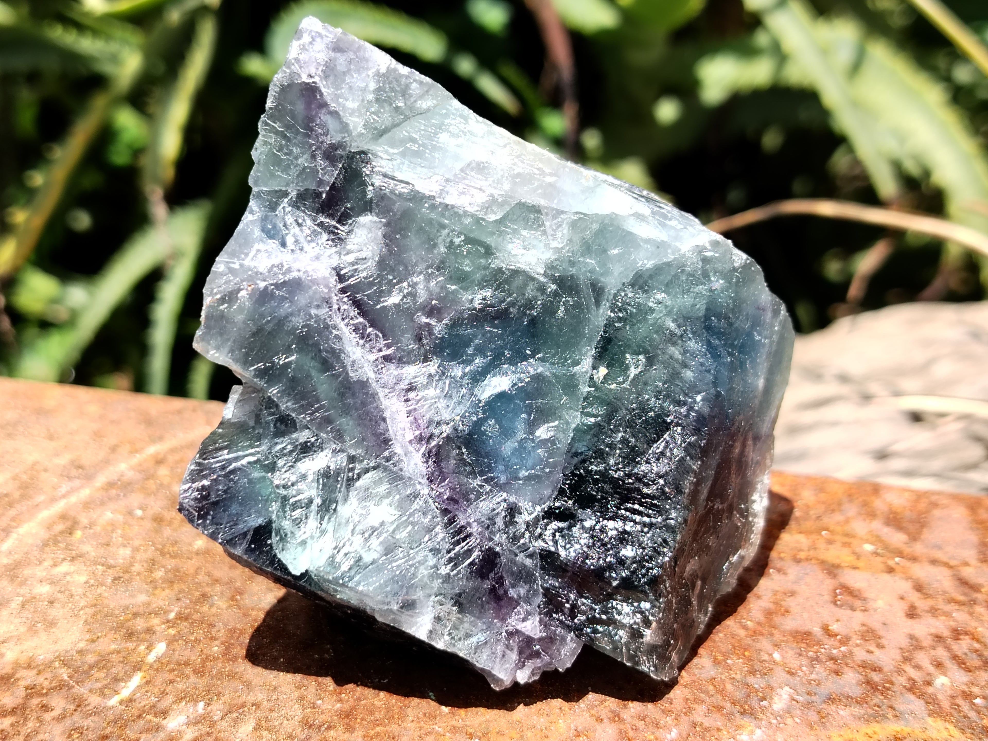 Natural Watermelon Fluorite Cobbed Specimens x 6 From Uis, Namibia - Toprock Gemstones and Minerals 