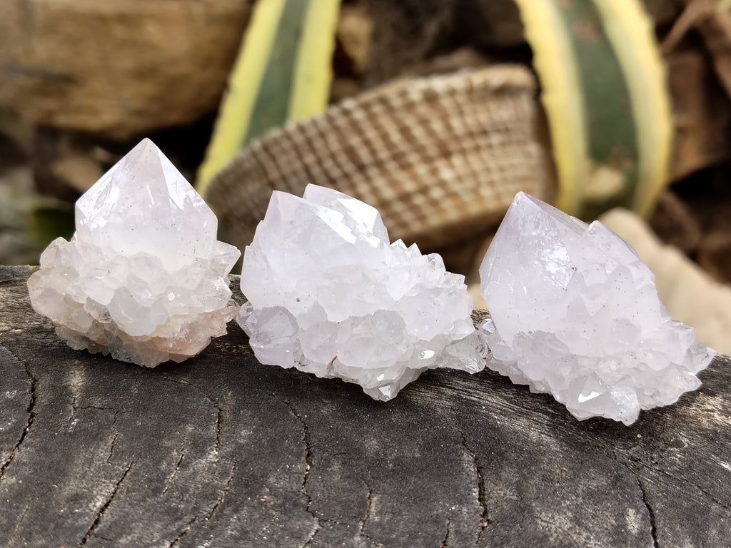 Natural Cactus Spirit Quartz Clusters x 24 From Boekenhouthoek, South Africa - Toprock Gemstones and Minerals 