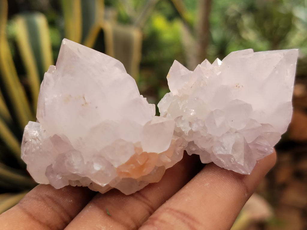 Natural Cactus Spirit Quartz Clusters x 24 From Boekenhouthoek, South Africa - Toprock Gemstones and Minerals 