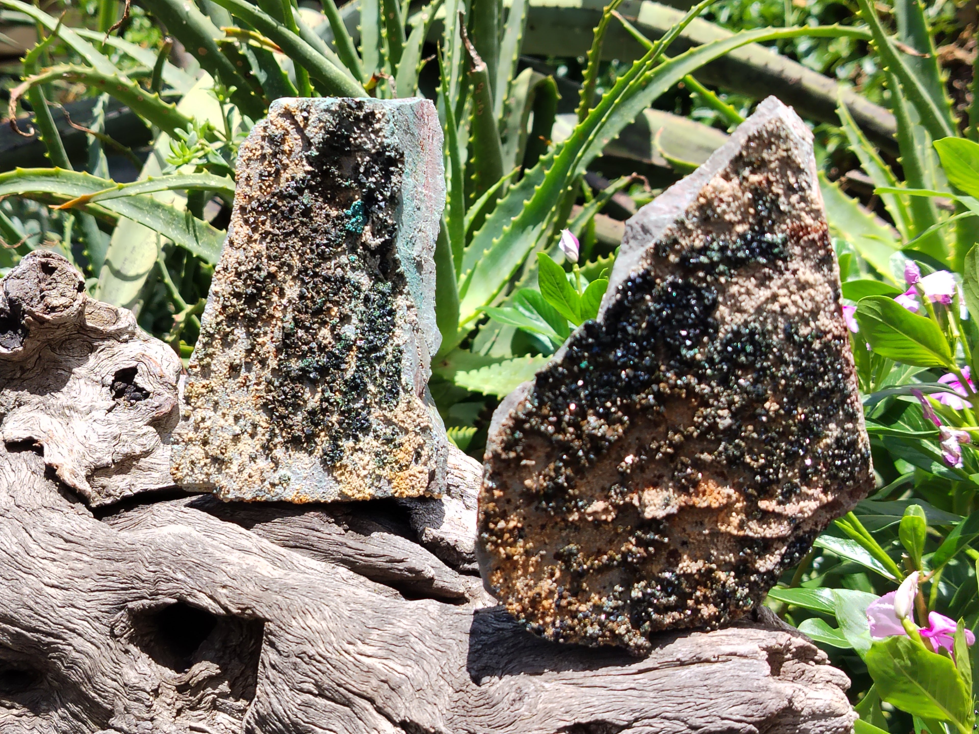 Natural Libethenite Crystals On Dolomite Matrix Specimens x 5 From Shituru, Congo - Toprock Gemstones and Minerals 