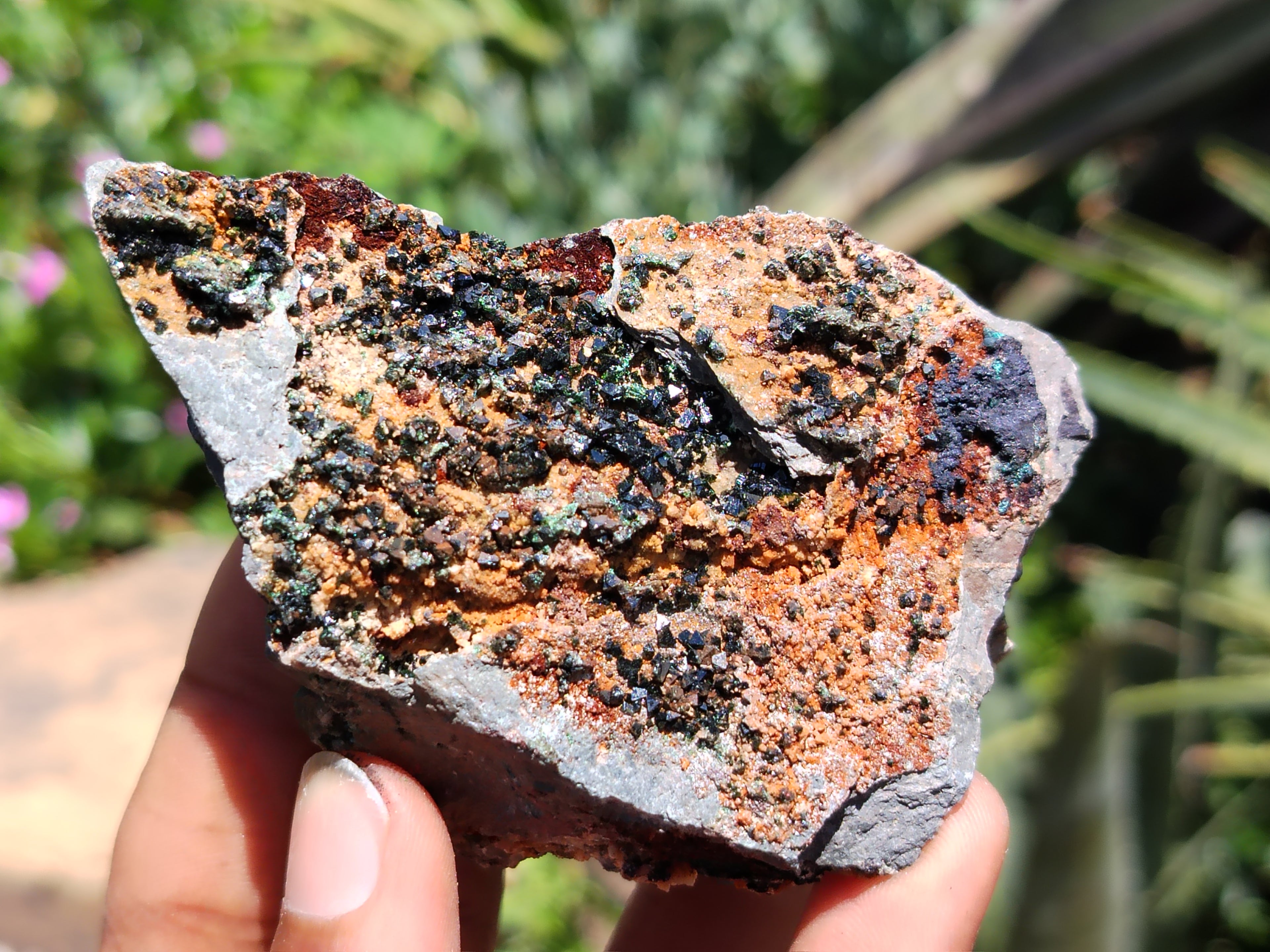 Natural Libethenite Crystals On Dolomite Matrix Specimens x 5 From Shituru, Congo - Toprock Gemstones and Minerals 