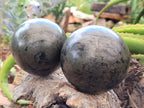 Polished Pharaoh Stone Spheres x 2 From Zimbabwe - Toprock Gemstones and Minerals 