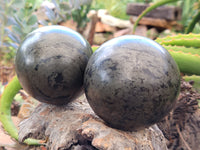 Polished Pharaoh Stone Spheres x 2 From Zimbabwe - Toprock Gemstones and Minerals 
