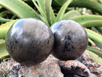 Polished Pharaoh Stone Spheres x 2 From Zimbabwe - Toprock Gemstones and Minerals 