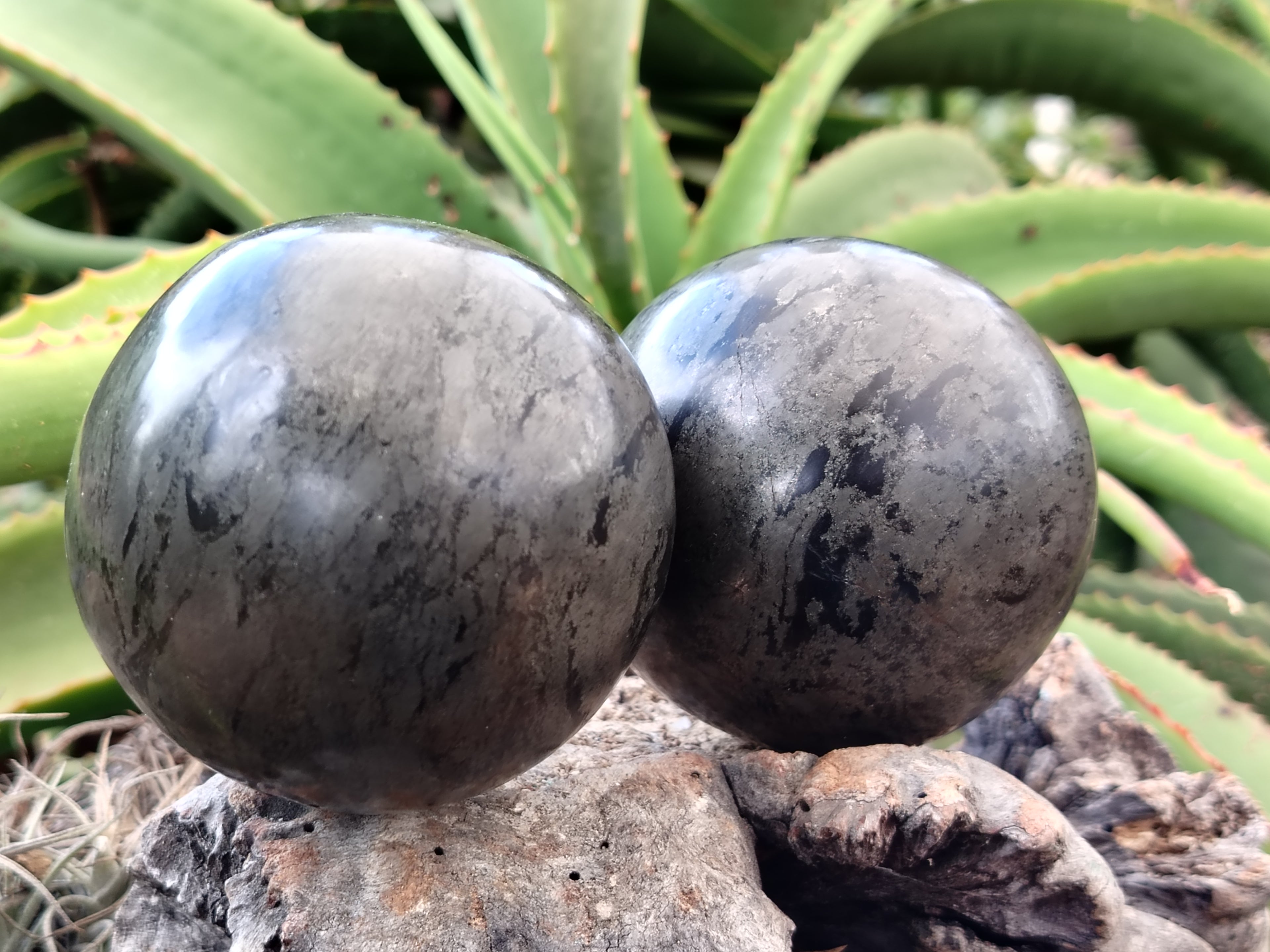 Polished Pharaoh Stone Spheres x 2 From Zimbabwe - Toprock Gemstones and Minerals 