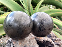 Polished Pharaoh Stone Spheres x 2 From Zimbabwe - Toprock Gemstones and Minerals 