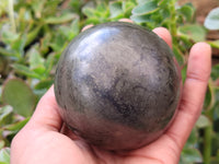 Polished Pharaoh Stone Spheres x 2 From Zimbabwe - Toprock Gemstones and Minerals 