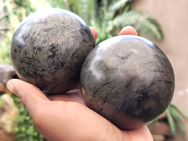 Polished Pharaoh Stone Spheres x 2 From Zimbabwe - Toprock Gemstones and Minerals 