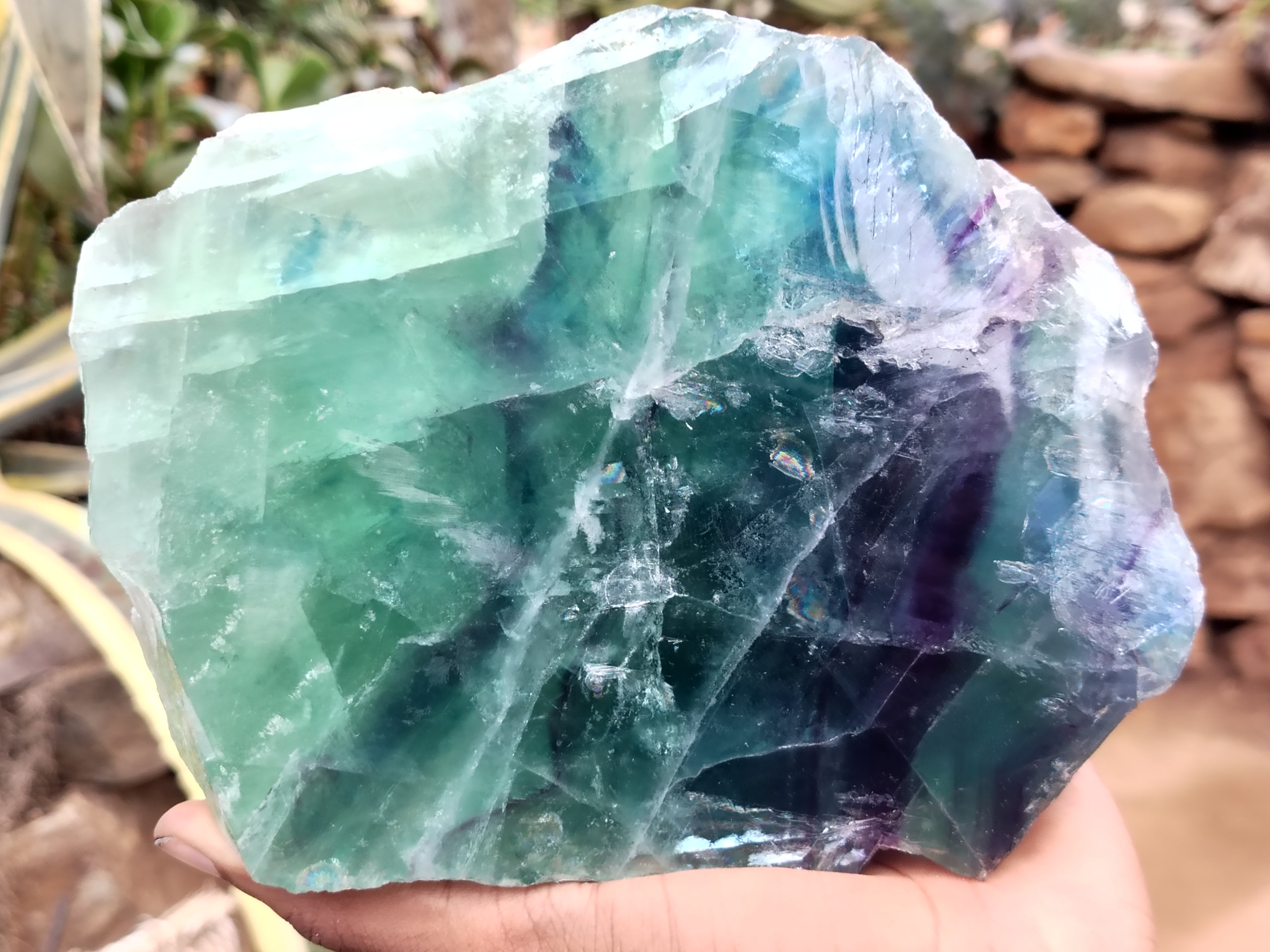 Polished On One Side Watermelon Fluorite x 2 From Uis, Namibia - Toprock Gemstones and Minerals 