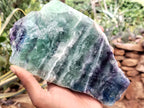 Polished On One Side Watermelon Fluorite x 2 From Uis, Namibia - Toprock Gemstones and Minerals 