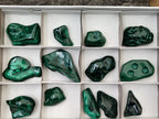 Polished Flower Banded Malachite Free Forms x 13 From Congo - Toprock Gemstones and Minerals 