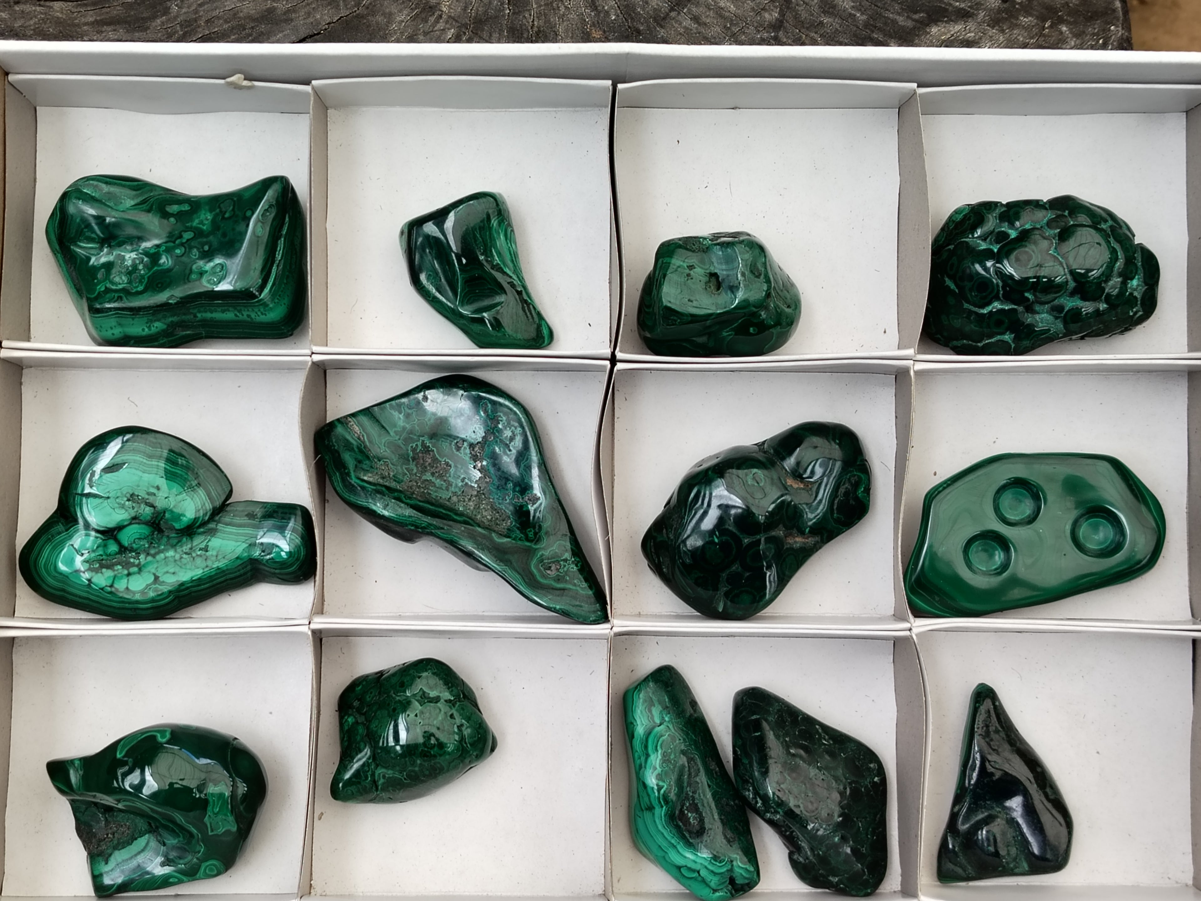 Polished Flower Banded Malachite Free Forms x 13 From Congo - Toprock Gemstones and Minerals 