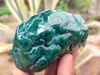 Polished Flower Banded Malachite Free Forms x 13 From Congo - Toprock Gemstones and Minerals 
