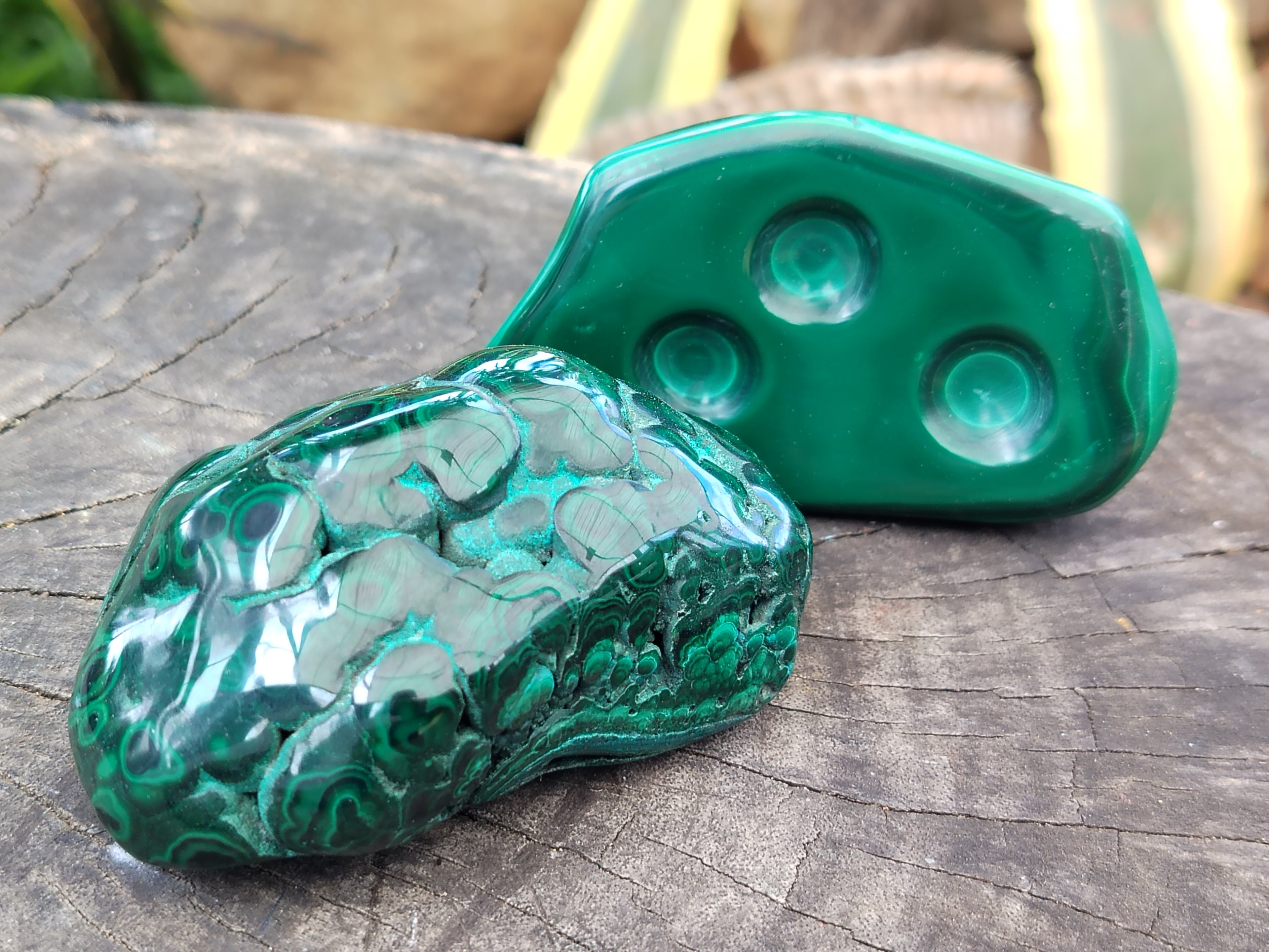 Polished Flower Banded Malachite Free Forms x 13 From Congo - Toprock Gemstones and Minerals 