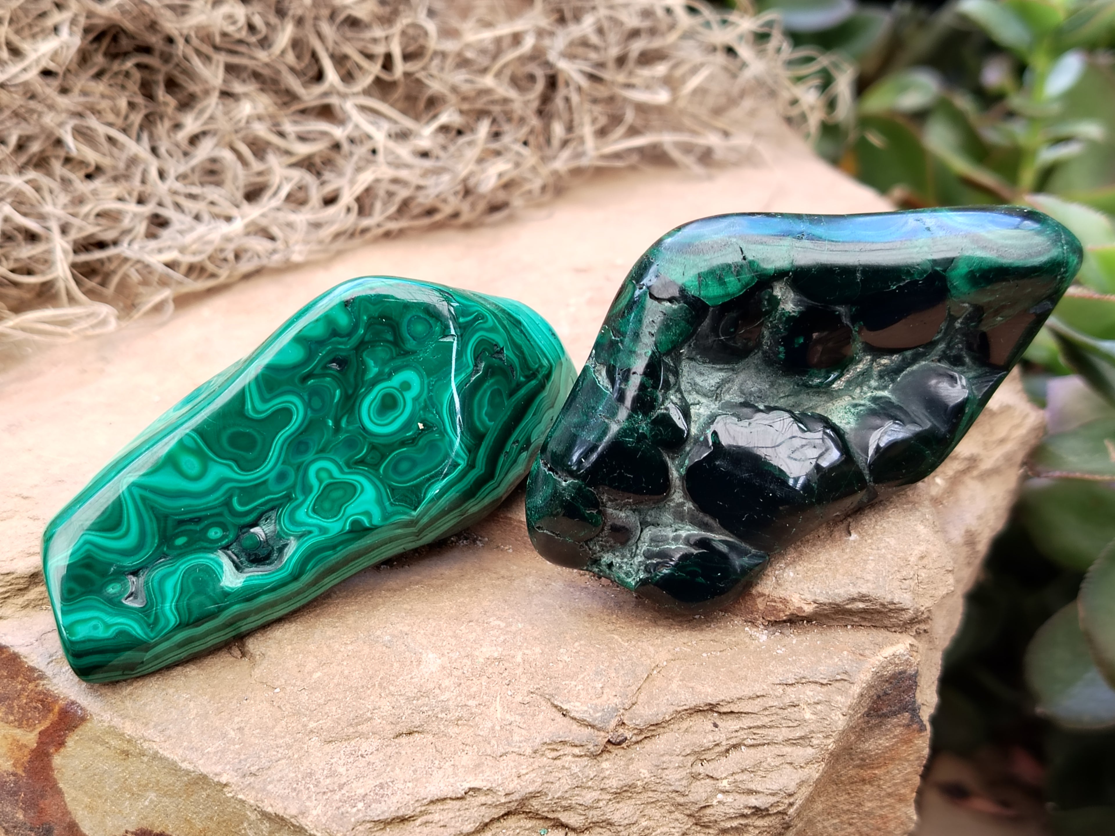 Polished Flower Banded Malachite Free Forms x 13 From Congo - Toprock Gemstones and Minerals 