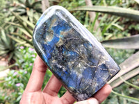 Polished Labradorite Standing Free Forms x 3 From Tulear, Madagascar - Toprock Gemstones and Minerals 