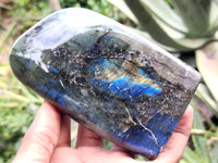 Polished Labradorite Standing Free Forms x 3 From Tulear, Madagascar - Toprock Gemstones and Minerals 