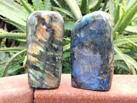 Polished Labradorite Standing Free Forms x 3 From Tulear, Madagascar - Toprock Gemstones and Minerals 