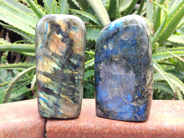 Polished Labradorite Standing Free Forms x 3 From Tulear, Madagascar - Toprock Gemstones and Minerals 