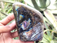 Polished Labradorite Standing Free Forms x 3 From Tulear, Madagascar - Toprock Gemstones and Minerals 