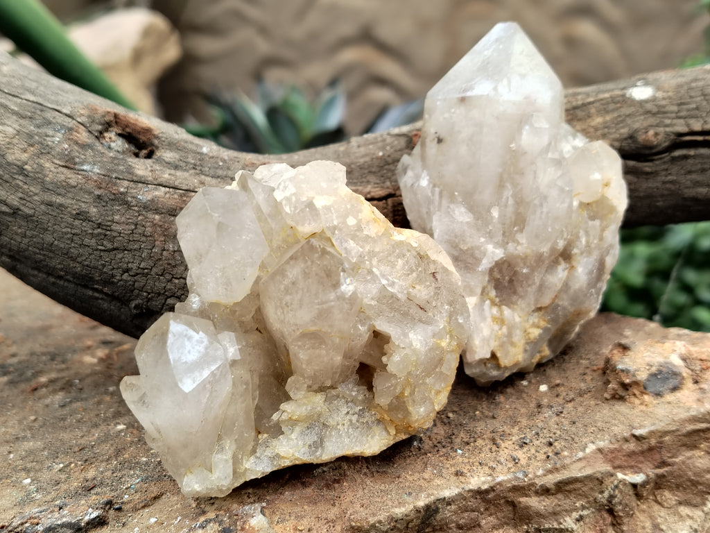 Natural Smokey Phantom Quartz Clusters x 6 From Luena, Congo - Toprock Gemstones and Minerals 