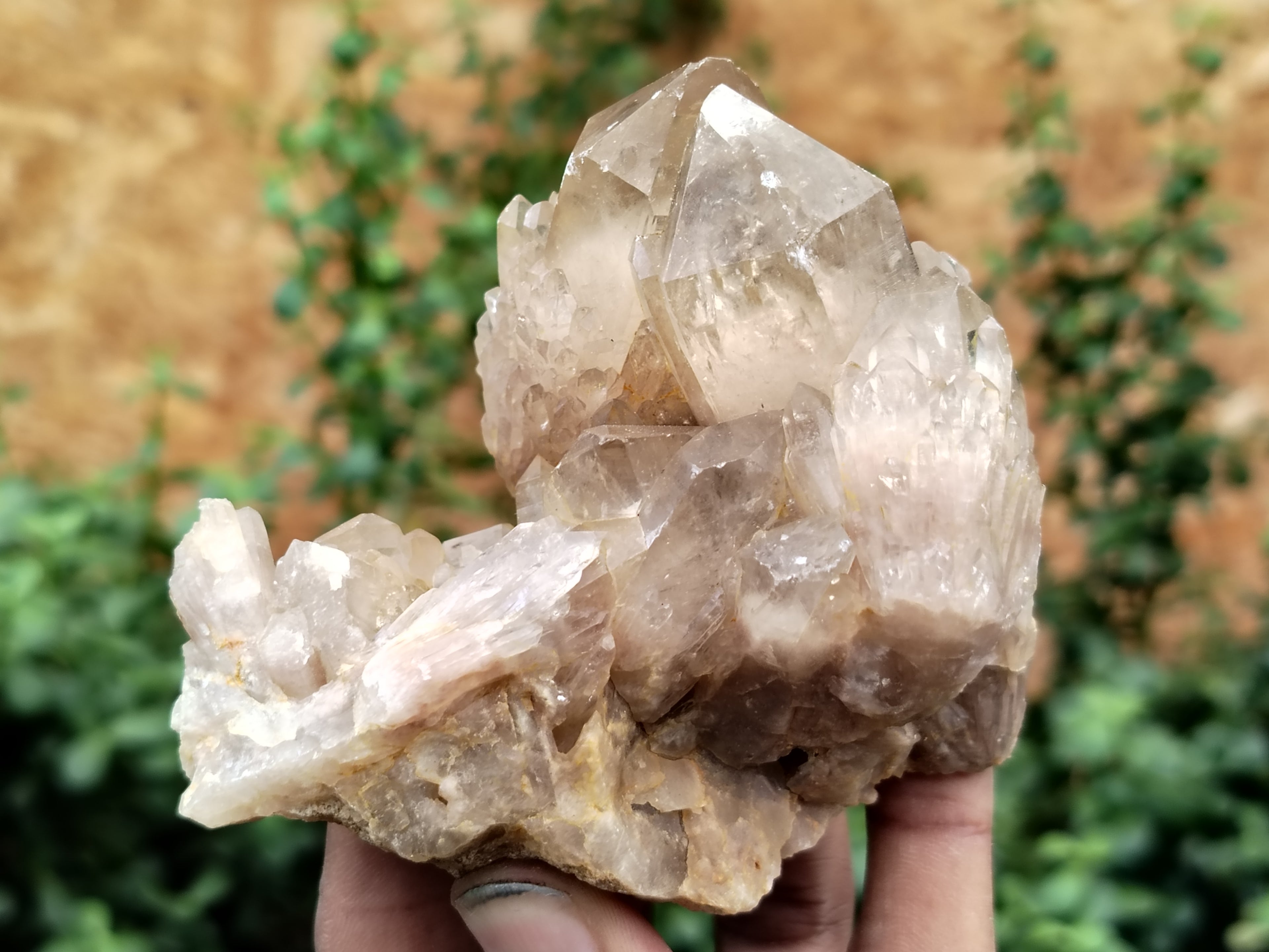 Natural Smokey Phantom Quartz Clusters x 6 From Luena, Congo - Toprock Gemstones and Minerals 